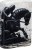 60007589_h259883_3476_7990_1_black_knight.jpg